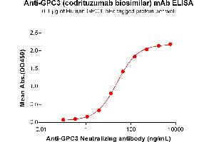 ELISA plate pre-coated by 1 μg/mL (100 μL/well) Human Protein, hFc Tag (ABIN7092674, ABIN7272488 and ABIN7272489) can bind Anti- Neutralizing antibody (ABIN7477988 and ABIN7490914) in a linear range of 1. (Recombinant GPC3 (Codrituzumab Biosimilar) antibody)
