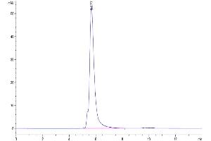 Size-exclusion chromatography-High Pressure Liquid Chromatography (SEC-HPLC) image for Leukocyte Immunoglobulin-Like Receptor, Subfamily B (With TM and ITIM Domains), Member 4 (LILRB4) (AA 22-256) protein (Fc Tag) (ABIN7275170)