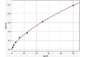 CTH ELISA Kit