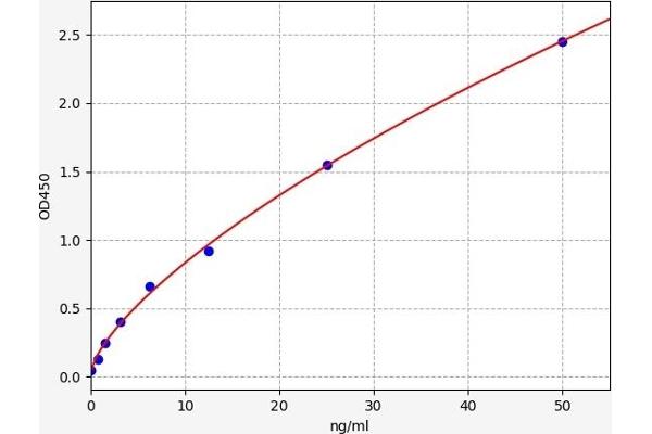 CTH ELISA Kit