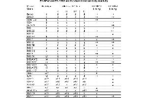 Antigen distribution: (MHC Class I H-2Dd, H-2(k,q,s) antibody)