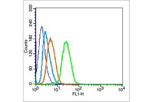 MCF7 cells were fixed with 70% ice-cold methanol overnight at 4℃, permeabilized with 90% ice-cold methanol for 20 min at -20℃, and incubated in 5% BSA blocking buffer for 30 min at room temperature. (p53 antibody  (pSer315))