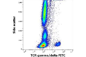 Flow cytometry surface staining pattern of human peripheral whole blood stained using anti-human TCR gamma/delta (11F2) FITC antibody (4 μL reagent / 100 μL of peripheral whole blood). (TCR gamma/delta antibody  (FITC))