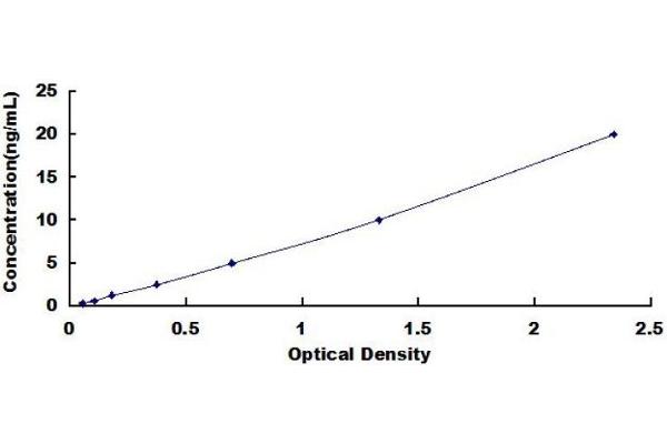 CA2 ELISA Kit