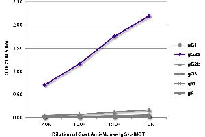 ELISA plate was coated with purified mouse IgG1, IgG2a, IgG2b, IgG3, IgM, and IgA. (Goat anti-Mouse IgG2a Antibody (Biotin))