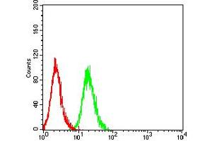 Flow cytometric analysis of Hela cells using CD89 mouse mAb (green) and negative control (red). (FCAR antibody  (AA 22-227))