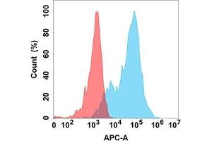 Flow cytometry analysis with Anti-E (DM162) on Expi293 cells transfected with human E (Blue histogram) or Expi293 transfected with irrelevant protein (Red histogram). (EPH Receptor A3 antibody  (AA 21-541))