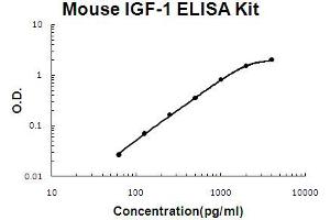 Mouse IGF-1 Accusignal ELISA Kit Mouse IGF-1 AccuSignal ELISA Kit standard curve. (IGF1 ELISA Kit)