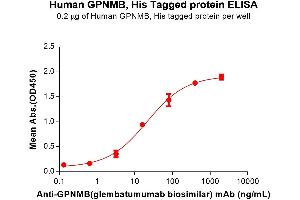 ELISA plate pre-coated by 2 μg/mL (100 μL/well) Human GPNMB Protein, His Tag (ABIN7455790, ABIN7491428 and ABIN7491429) can bind Anti-GPNMB(glembatumumab biosimilar) mAb ((ABIN7538764)) in a linear range of 3. (Osteoactivin Protein (GPNMB) (AA 23-496) (His tag))