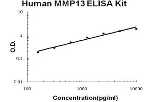 ELISA image for Matrix Metallopeptidase 13 (Collagenase 3) (MMP13) ELISA Kit (ABIN6720388)