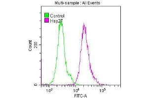 Flow Cytometry (FACS) image for anti-Heat Shock 27kDa Protein 1 (HSPB1) antibody (ABIN7127557)