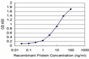 Detection limit for recombinant GST tagged HCLS1 is approximately 0. (HCLS1 antibody  (AA 266-355))