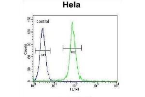 Flow Cytometry (FACS) image for anti-2-Aminoethanethiol (Cysteamine) Dioxygenase (ADO) antibody (ABIN2996008) (ADO antibody)