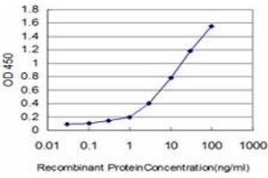 Detection limit for recombinant GST tagged FYN is approximately 0. (FYN antibody  (AA 1-90))