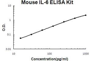 ELISA image for Interleukin 6 (IL6) ELISA Kit (ABIN6719990)