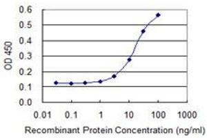 Detection limit for recombinant GST tagged CTSE is 1 ng/ml as a capture antibody. (Cathepsin E antibody  (AA 18-396))