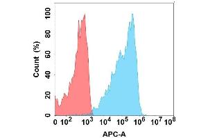 Flow cytometry analysis with Anti-CD on Expi293 cells transfected with human CD (Blue histogram) or Expi293 transfected with irrelevant protein (Red histogram). (CLEC2D antibody)