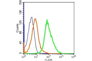 A549 cells probed with Prostaglandin E Receptor EP2 Antibody, ALEXA FLUOR® 647 Conjugated (bs-4196R-A647) at 5ug for 30 minutes compared to control cells (blue) and isotype control (orange). (PTGER2 antibody  (AA 271-358) (AbBy Fluor® 647))