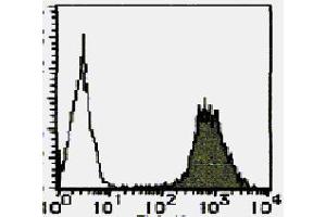 Flow Cytometry (FACS) image for anti-CD44 (CD44) antibody (FITC) (ABIN2853597) (CD44 antibody  (FITC))