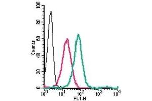 Cell surface detection of GPER1 in live intact human THP-1 monocytic leukemia cells: (black line) Cells. (GPER antibody  (3rd Extracellular Loop) (FITC))