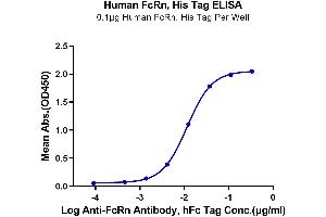 ELISA image for neonatal Fc Receptor (FcRn) (AA 24-297) protein (His tag) (ABIN7274676)