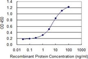 Detection limit for recombinant GST tagged MAP4 is 0. (MAP4 antibody  (AA 1-99))