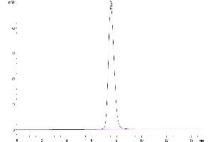 The purity of Human FGFR2 beta (IIIb) Domain is greater than 95 % as determined by SEC-HPLC. (FGFR2 beta (AA 253-378) protein (Fc Tag))