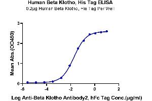 ELISA image for Klotho beta (KLB) protein (His tag) (ABIN7275092)