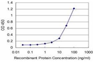 Detection limit for recombinant GST tagged TESK2 is approximately 1ng/ml as a capture antibody. (TESK2 antibody  (AA 405-542))