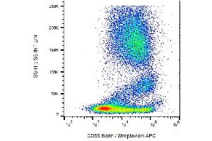 Flow cytometry analysis of Surface staining of human peripheral blood cells using CD55 Antibody (Biotin). (CD55 antibody  (Biotin))