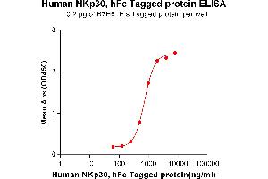 ELISA plate pre-coated by 2 μg/mL (100 μL/well) Human B7H6, His tagged protein ABIN6964097, ABIN7042449 and ABIN7042450 can bind Human NKp30, hFc tagged protein (ABIN6961135, ABIN7042299 and ABIN7042300) in a linear range of 250-2000 ng/mL. (NCR3 Protein (AA 19-135) (Fc Tag))