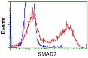 HEK293T cells transfected with either RC204604 overexpress plasmid (Red) or empty vector control plasmid (Blue) were immunostained by anti-SMAD2 antibody (ABIN2453654), and then analyzed by flow cytometry. (SMAD2 antibody)