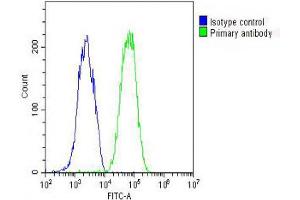 Overlay histogram showing HepG2 cells stained with Antibody (green line). (Fetuin A antibody  (C-Term))