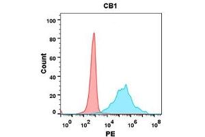 Flow cytometry analysis with Anti-CB1 (DM144) on Expi293 cells transfected with human CB1 (Blue histogram) or Expi293 transfected with irrelevant protein (Red histogram). (CNR1 antibody  (AA 1-116))