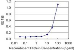 Sandwich ELISA detection sensitivity ranging from 10 ng/mL to 100 ng/mL. (CD3E (Human) Matched Antibody Pair)