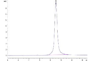 Size-exclusion chromatography-High Pressure Liquid Chromatography (SEC-HPLC) image for delta Like Protein 3 (DLL3) (AA 27-490) protein (His tag) (ABIN7274489)