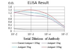 ELISA image for anti-Neurofilament, Light Polypeptide (NEFL) antibody (ABIN1108417) (NEFL antibody)