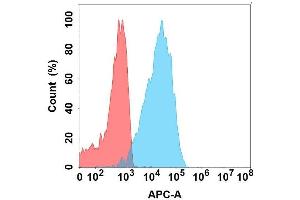 Flow cytometry analysis with Anti-IL22 on Expi293 cells transfected with human IL22 (Blue histogram) or Expi293 transfected with irrelevant protein (Red histogram). (IL-22 antibody)