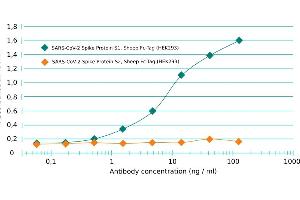 ELISA image for anti-SARS-CoV-2 Spike S1 (RBD) antibody (ABIN6952546)