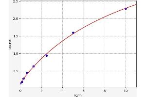 Typical standard curve (PCNA ELISA Kit)