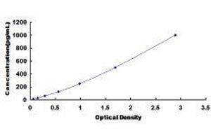 ELISA image for Vascular Endothelial Cell Growth Factor 121 (VEGF121) ELISA Kit (ABIN572433) (VEGF121 ELISA Kit)