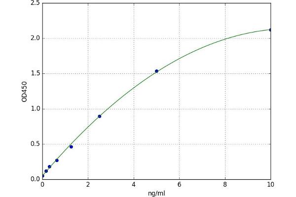 IGF2BP2 ELISA Kit