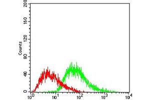 Fig. (PPARGC1B antibody  (AA 195-414))