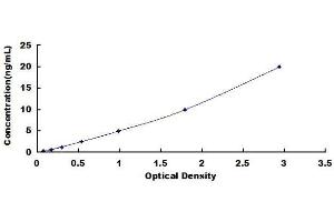 DCT ELISA Kit