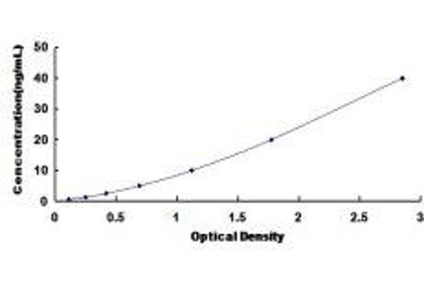 CYP2C18 ELISA Kit