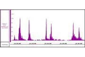 ChIP DNA-Sequencing (ChIP-seq) image for anti-CCCTC-Binding Factor (Zinc Finger Protein) (CTCF) antibody (ABIN6731034)