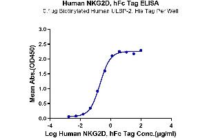 ELISA image for Killer Cell Lectin-Like Receptor Subfamily K, Member 1 (KLRK1) (AA 78-216) protein (Fc-DYKDDDDK Tag) (ABIN7275337)
