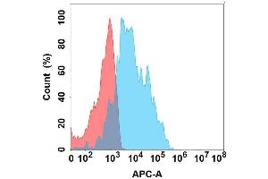 Flow cytometry analysis with Anti- on Expi293 cells transfected with human (Blue histogram) or Expi293 transfected with irrelevant protein (Red histogram). (GPR77 antibody)