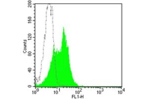 Flow Cytometry (FACS) image for anti-Intercellular Adhesion Molecule 1 (ICAM1) antibody (FITC) (ABIN2144636) (ICAM1 antibody  (FITC))