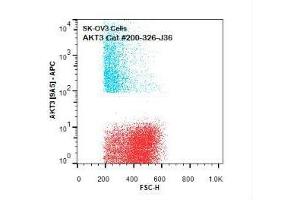 Flow Cytometry of Mouse anti-AKT3 antibody. (AKT3 antibody  (Internal Region) (APC))